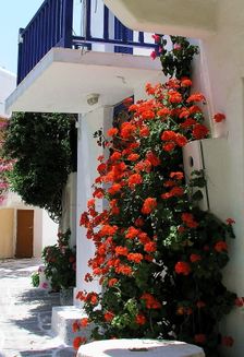 Paros