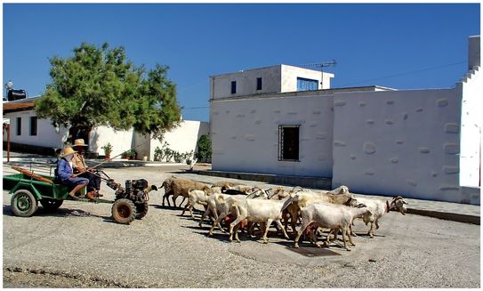 Paros