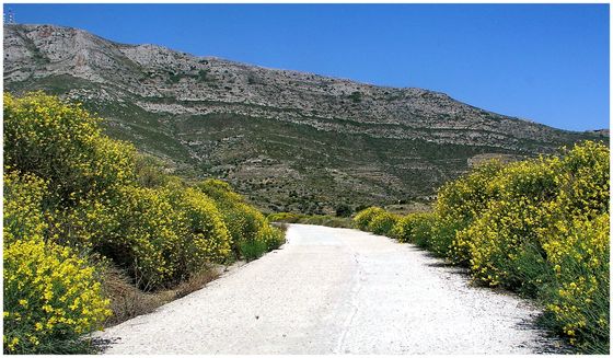 Paros