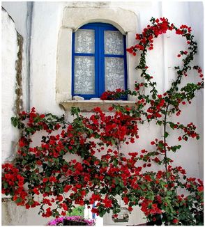 Paros
