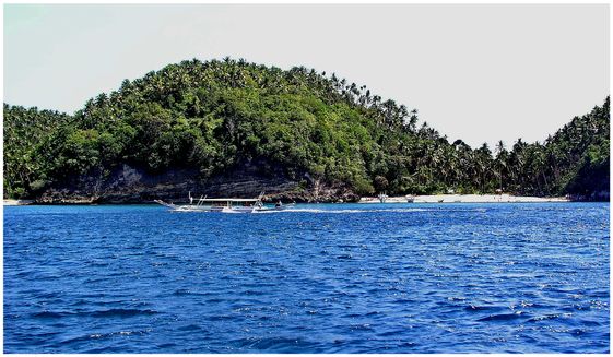Snorkling Trips