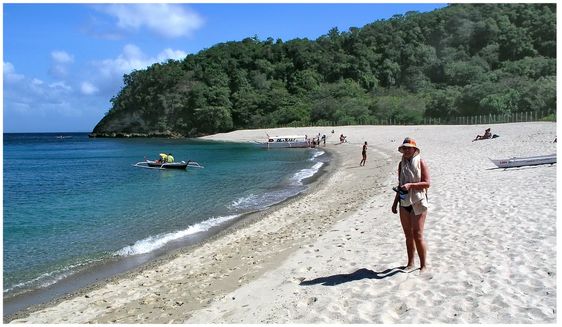 Snorkling Trips