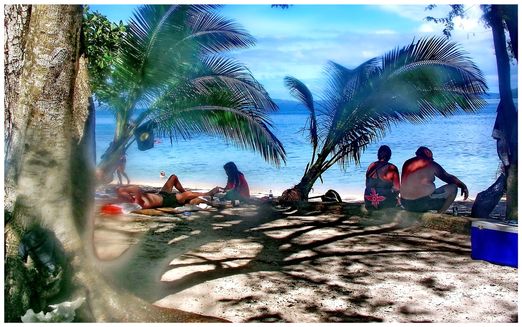 Snorkling Trips