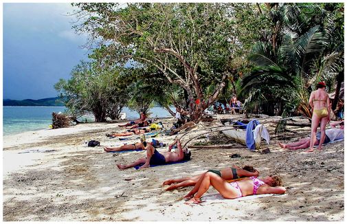 Snorkling Trips