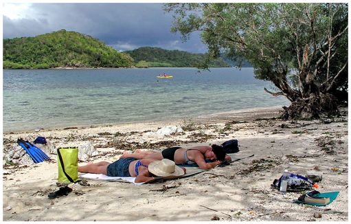 Snorkling Trips
