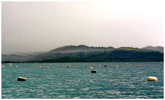 Snorkling Trips