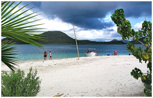 Snorkling Trips