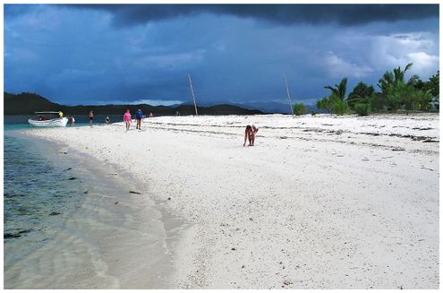 Snorkling Trips