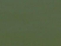 Everglades