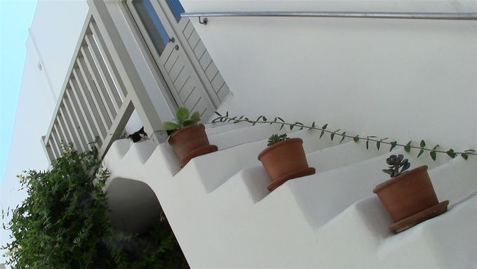 Naousa - note the cat asleep on the top step!