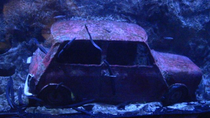 Jennifers parking?