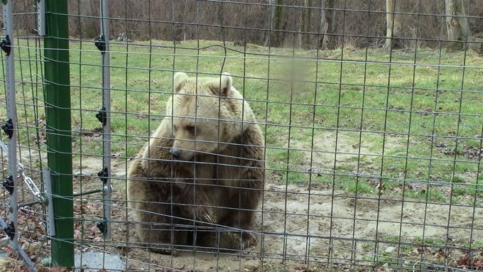 Looks so cuddly doesnt she?