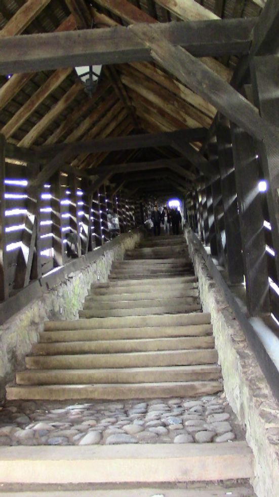 Scholars steps