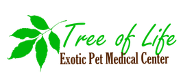 Tree of Life Exotic Pet Medical Center