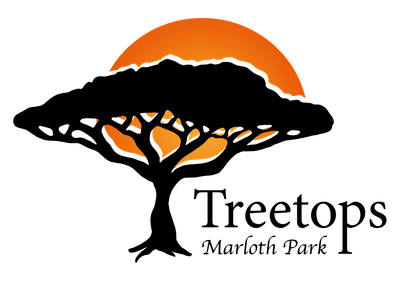 Treetops Holiday Home