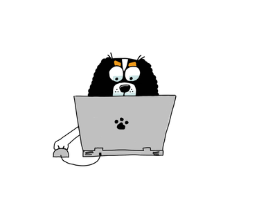 Online Beginnerscursus