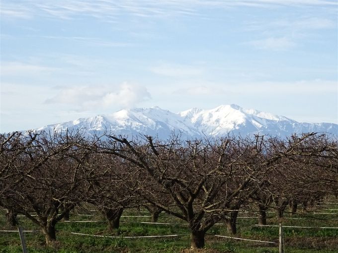 Un oeil sur les Pyrénées en revenant d'Alenya