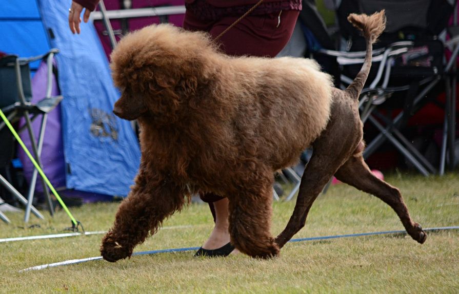 DSC_1574(1)