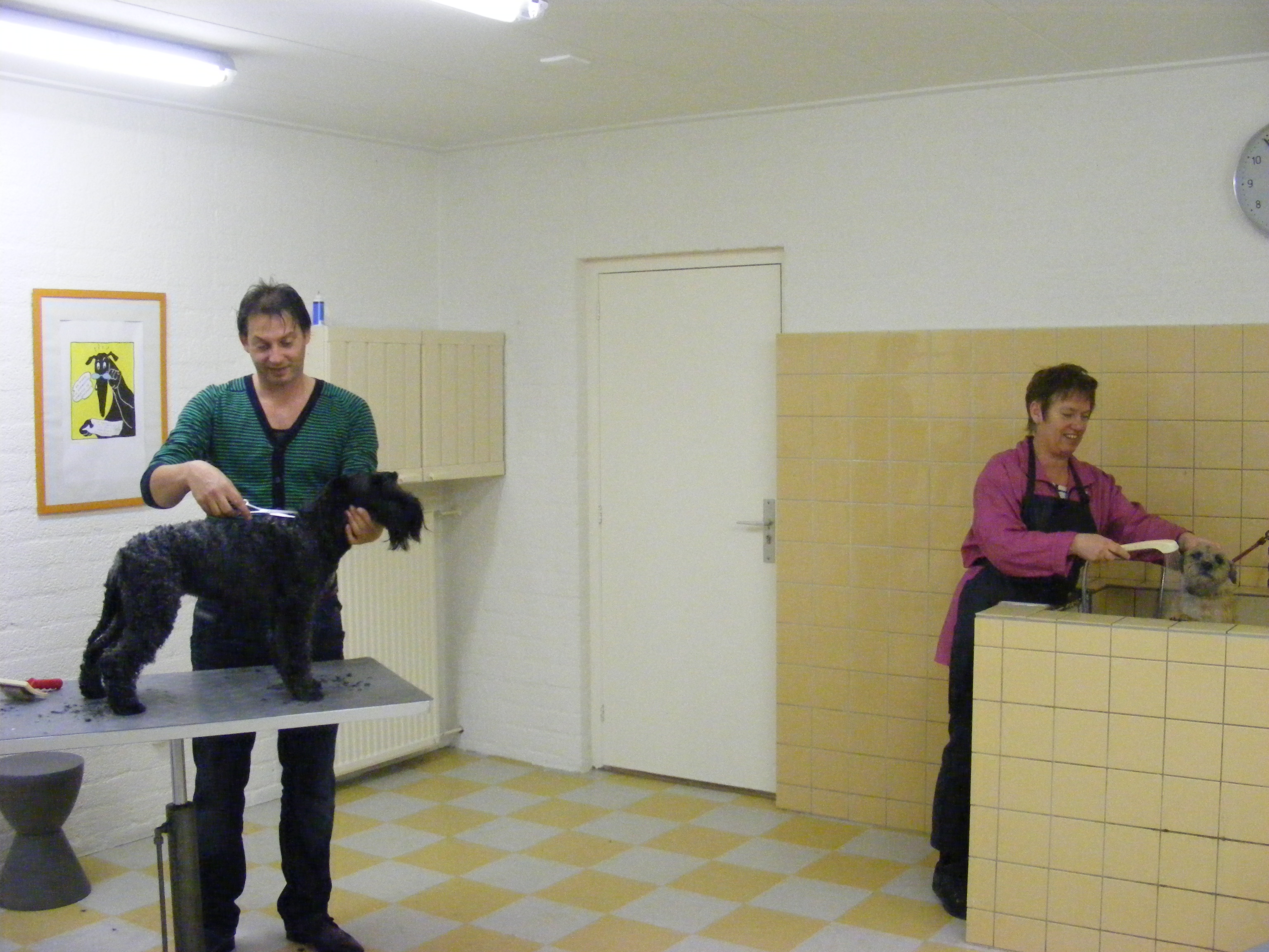 Tineke Poezenpension en Trimsalon