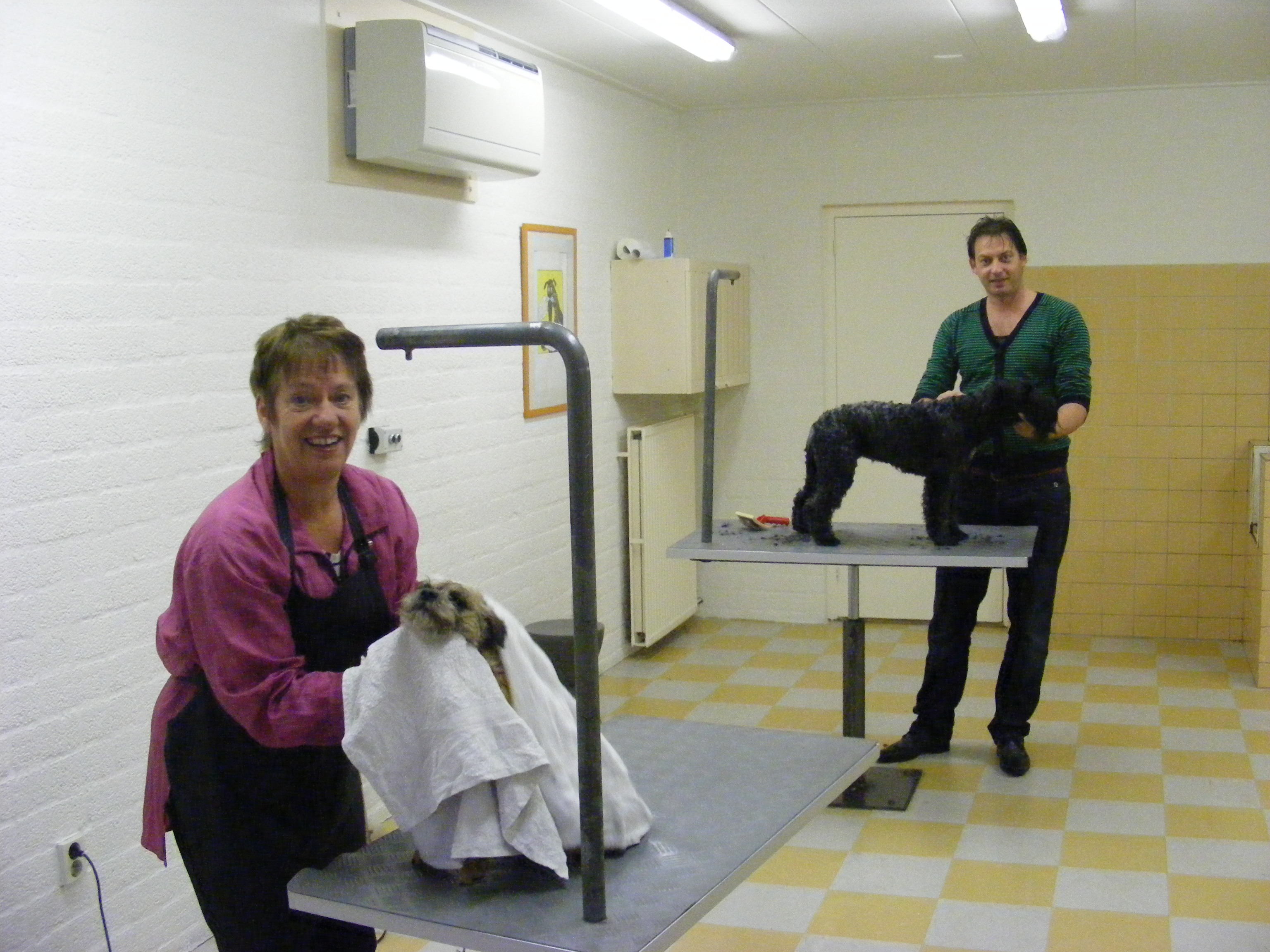 Tineke Poezenpension en Trimsalon