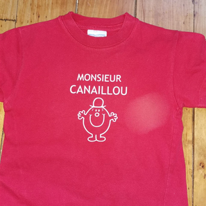 " monsieur canaillou"