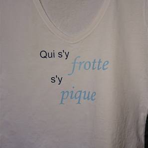"qui s'y frotte"