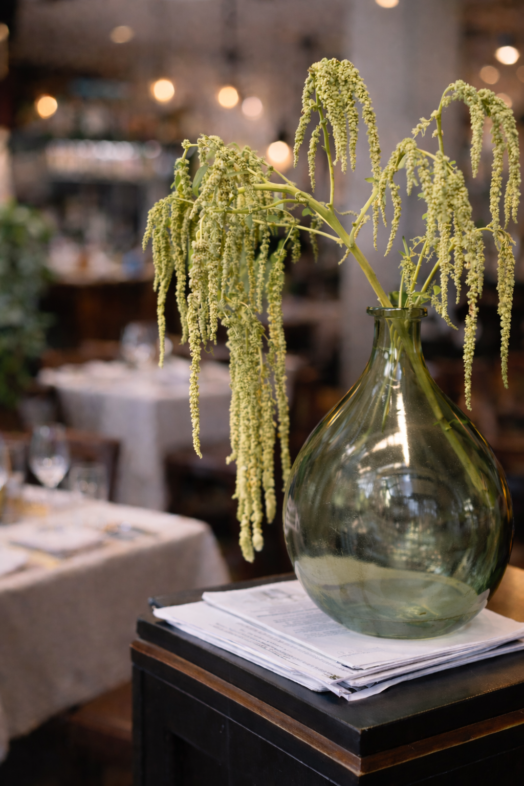 ChatGPT Image 5 feb. 2026 09_07_05