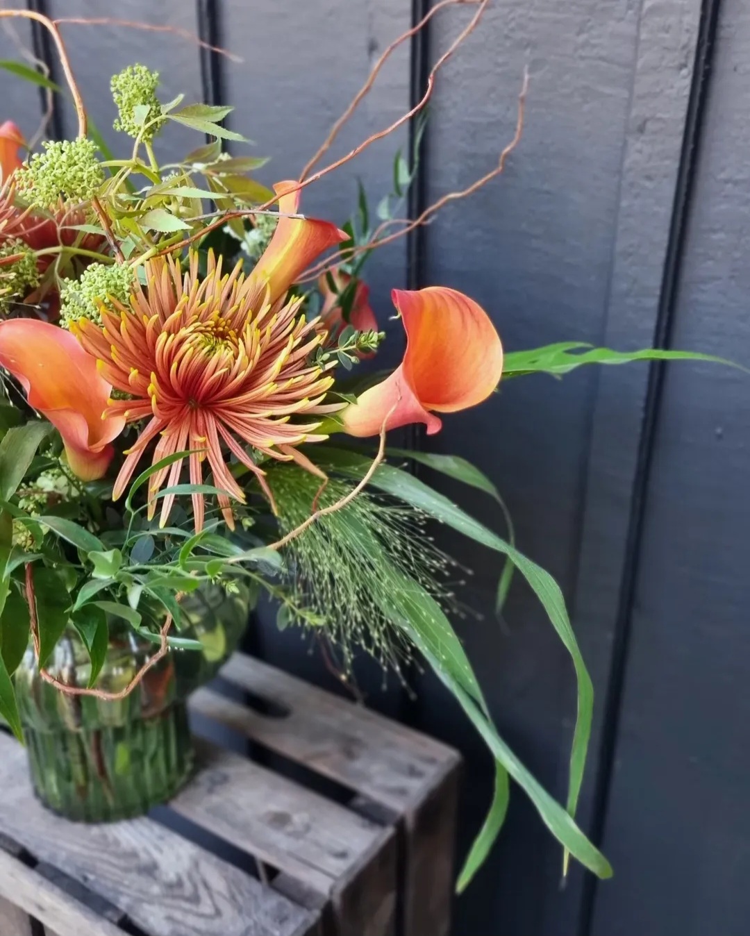 Screenshot_20260111_160628_Instagram