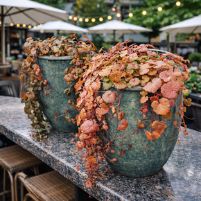 file_0000000080b871f4ac1a73fe7d3422c2