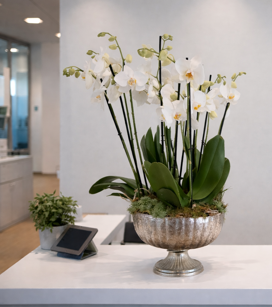 file_00000000fd0472469cce3ae86fdb7367