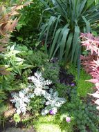 Tuin 