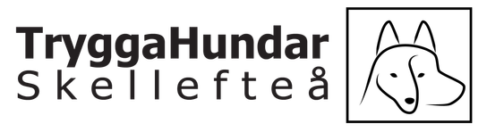TryggaHundar Skellefteå
