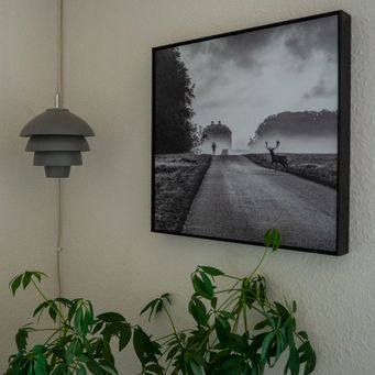 Sh i Dyrehaven, Danmark