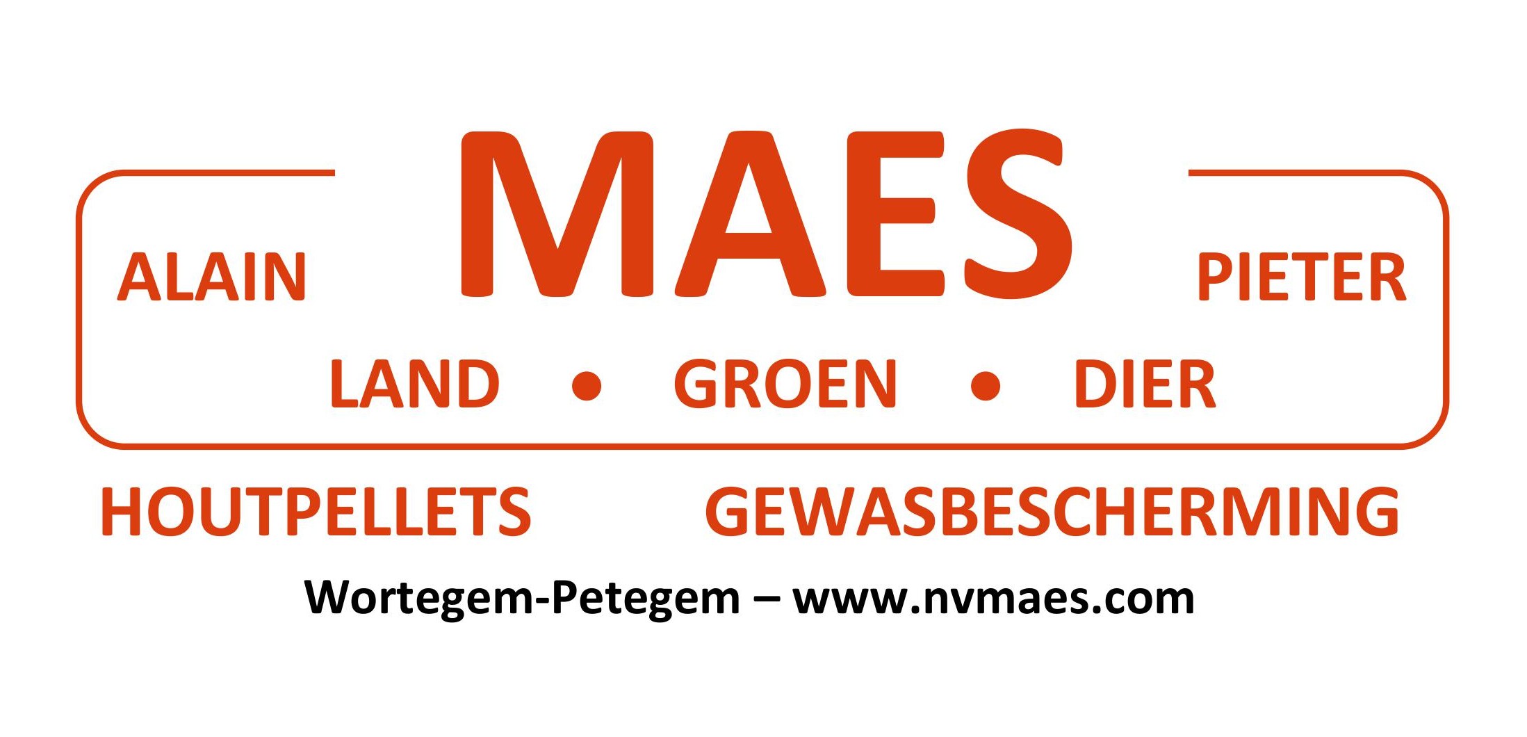 Logo Maes 2025