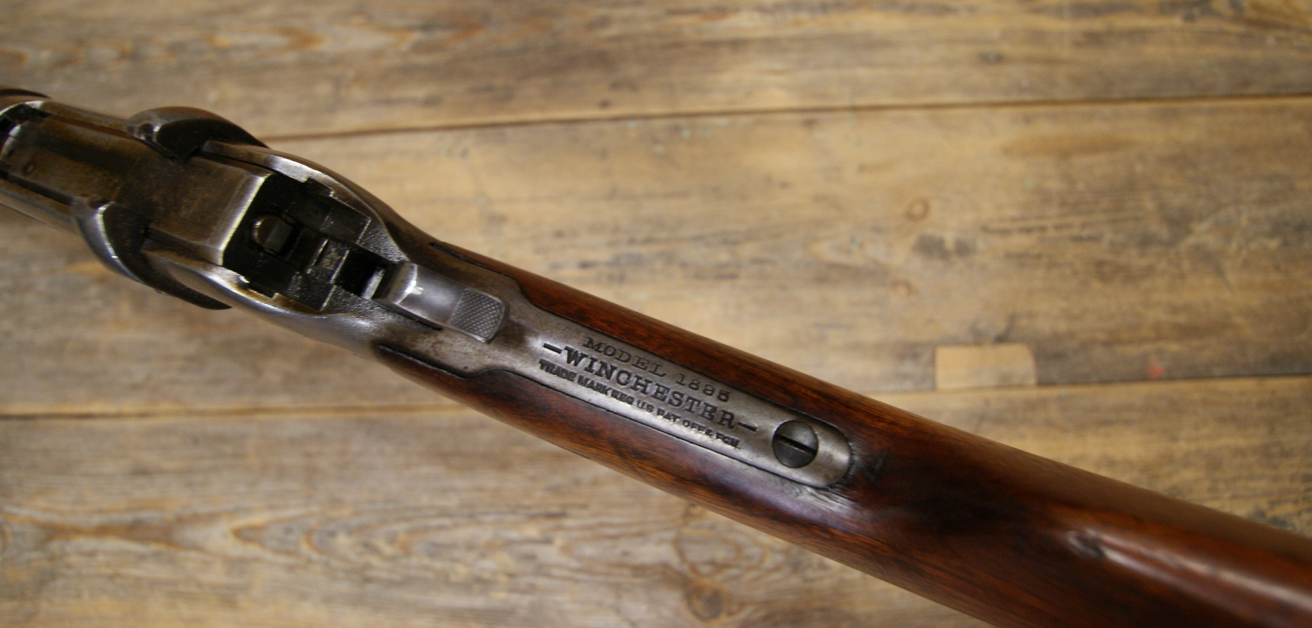 DSC00131___serialized1