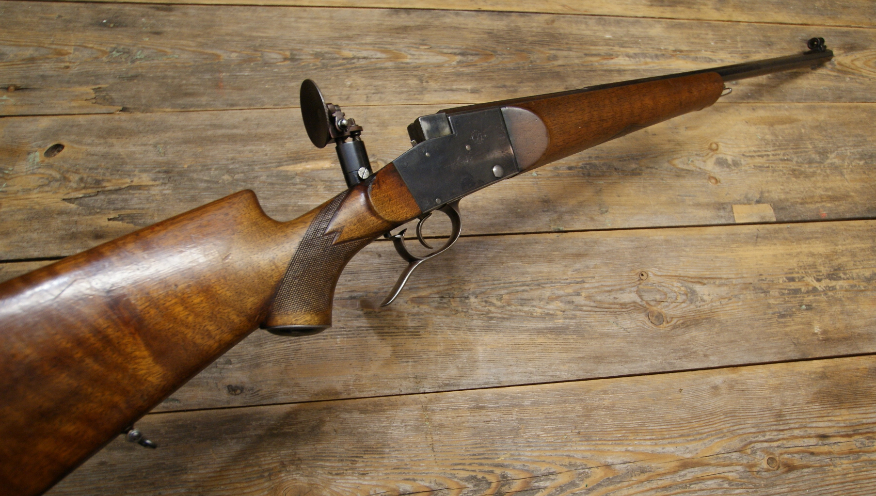 DSC00556___serialized1