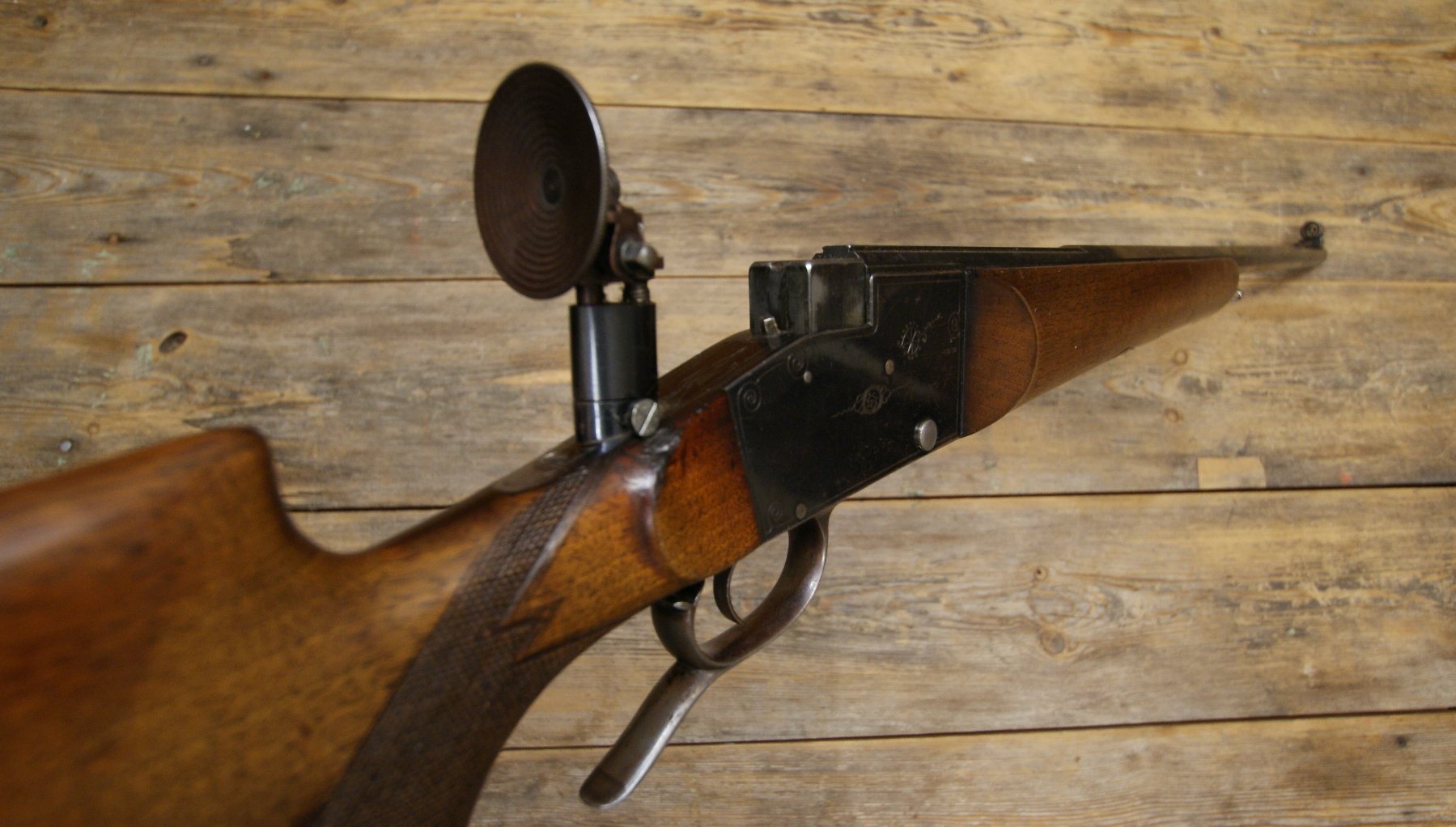 DSC00560___serialized1