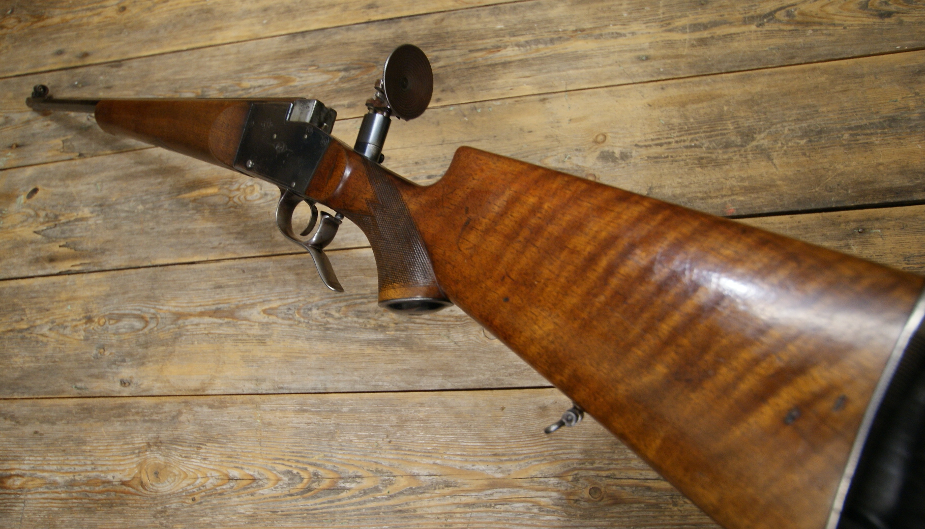 DSC00564___serialized1