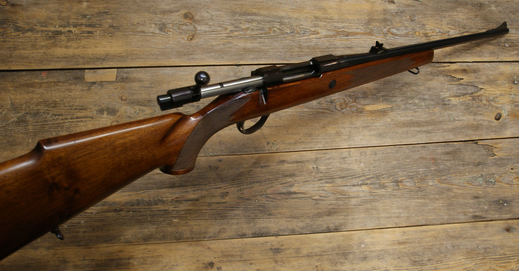 DSC07930___serialized1