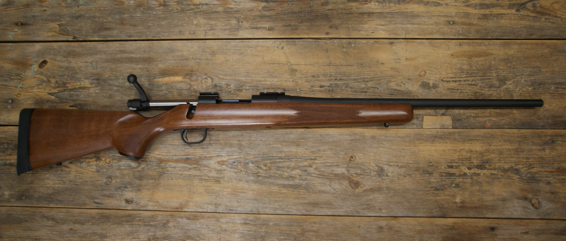 DSC08855___serialized1