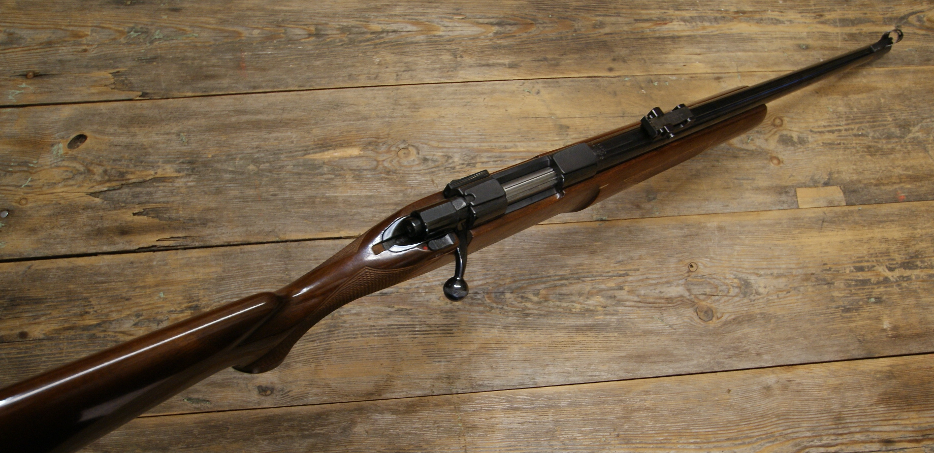 DSC09074___serialized1