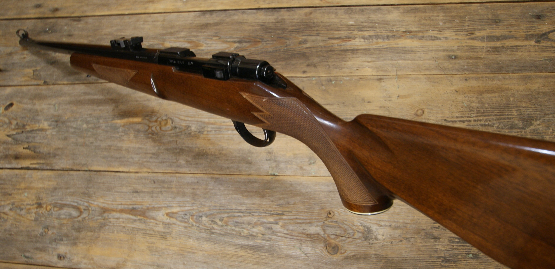 DSC09077___serialized1