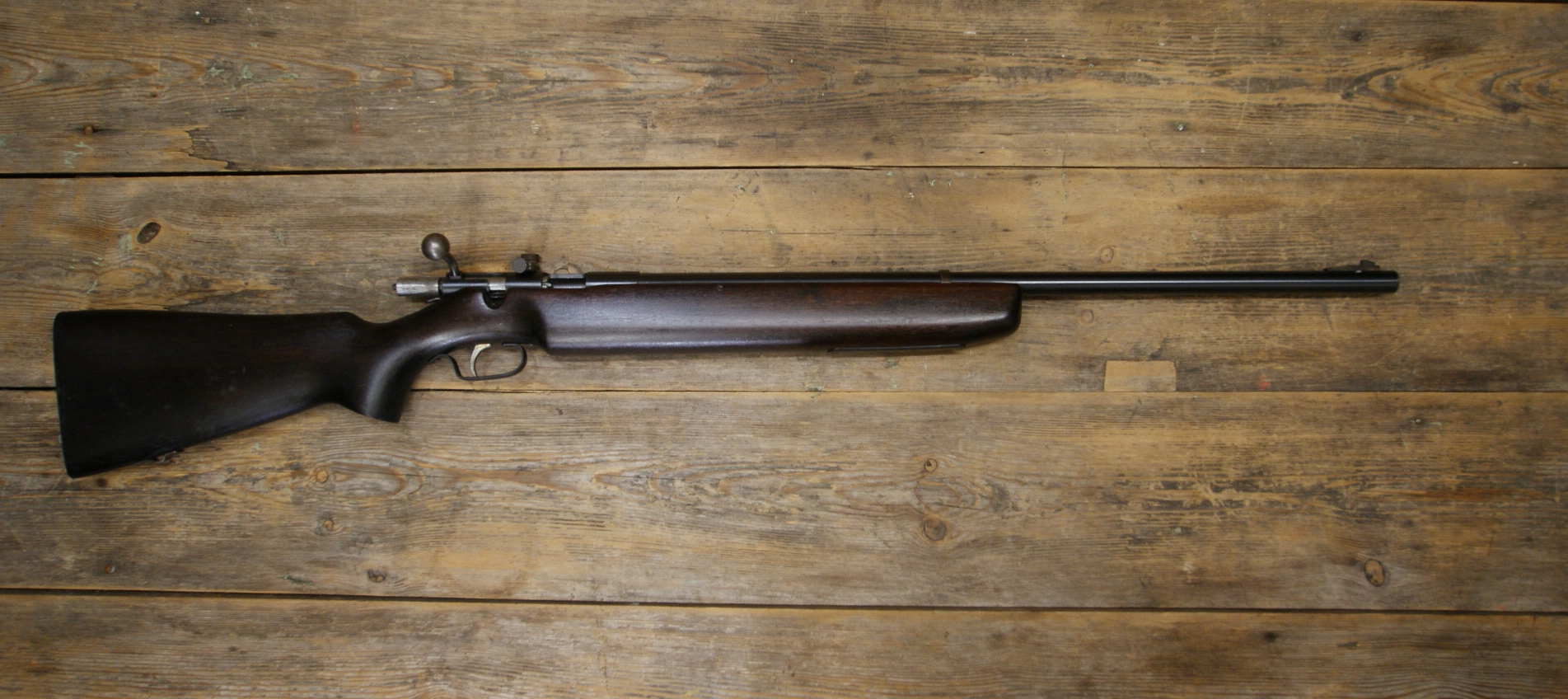 DSC09168___serialized1