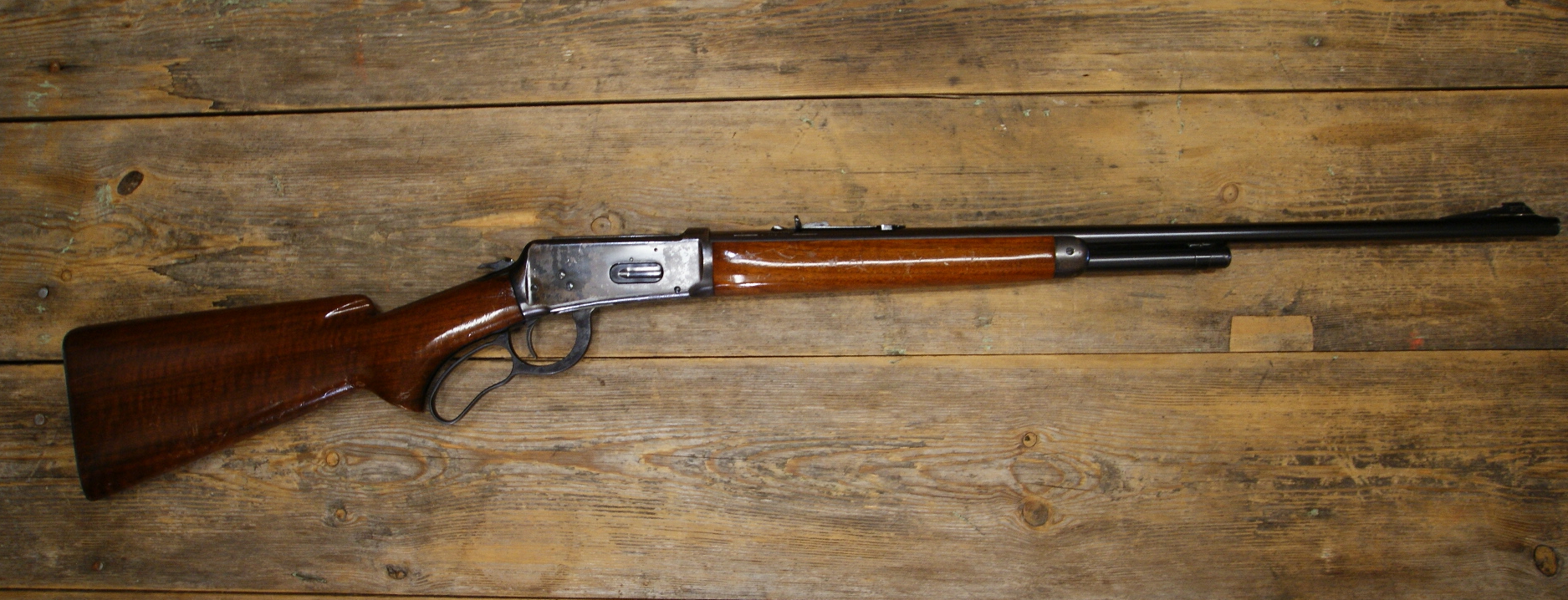 DSC09554___serialized1