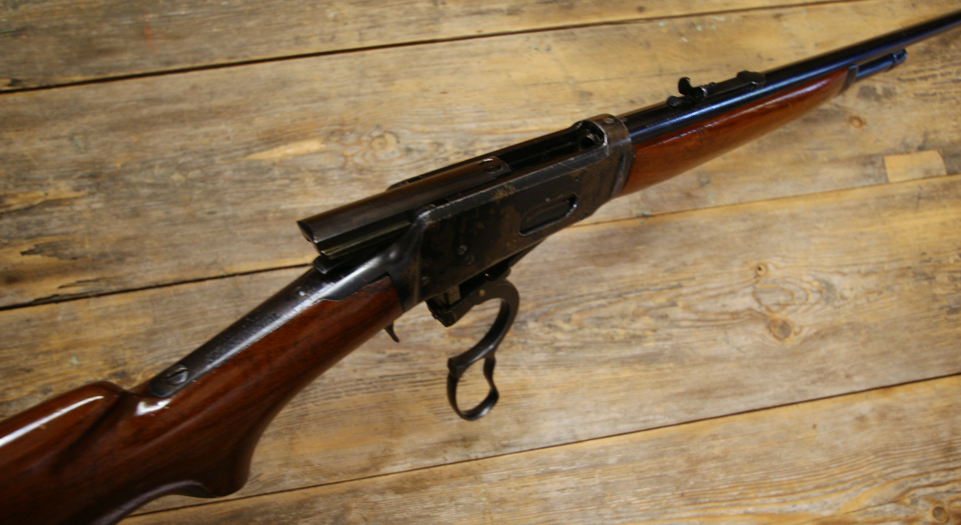 DSC09565___serialized1