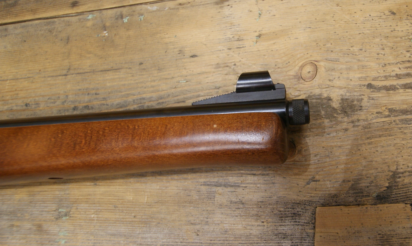 DSC09777___serialized1