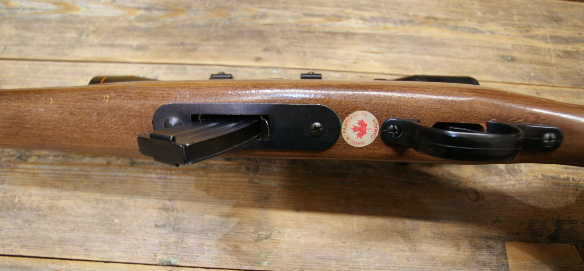 DSC09788___serialized1