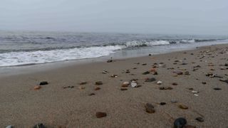 Tisvilde Hegn Beach 2