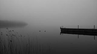 Esrum lake at Sørup Harbour 2 B&W