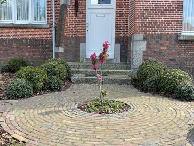                       Project te Mol Sluis